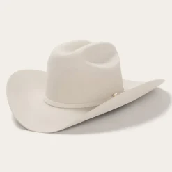 Best Stetson Diamante Premier Cowboy Hat Silverbelly
