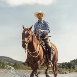 Stetson Plaid Twill Dobby Western Shirt Blue